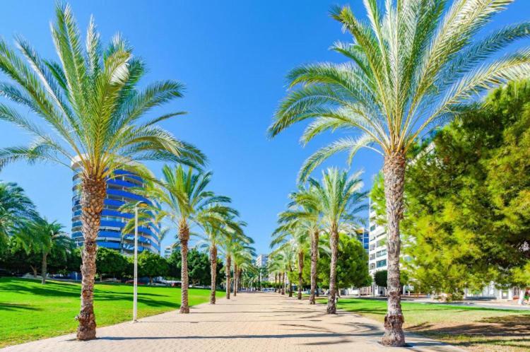 Apartamento Cala Cosy Benidorm Exterior foto